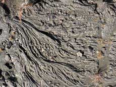 Hawaii Big Island whirling dervish patterns in the petroglyphs